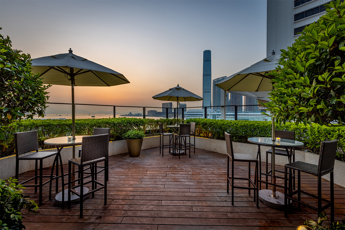 Harbour City’s Culinary Gems: Where Flavors Meet Spectacular Views ...